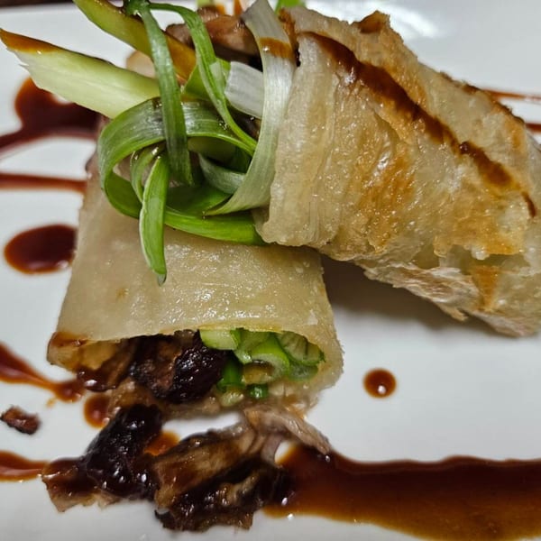 Crispy duck spring rolls with scallions and a rich brown sauce on a white plate.